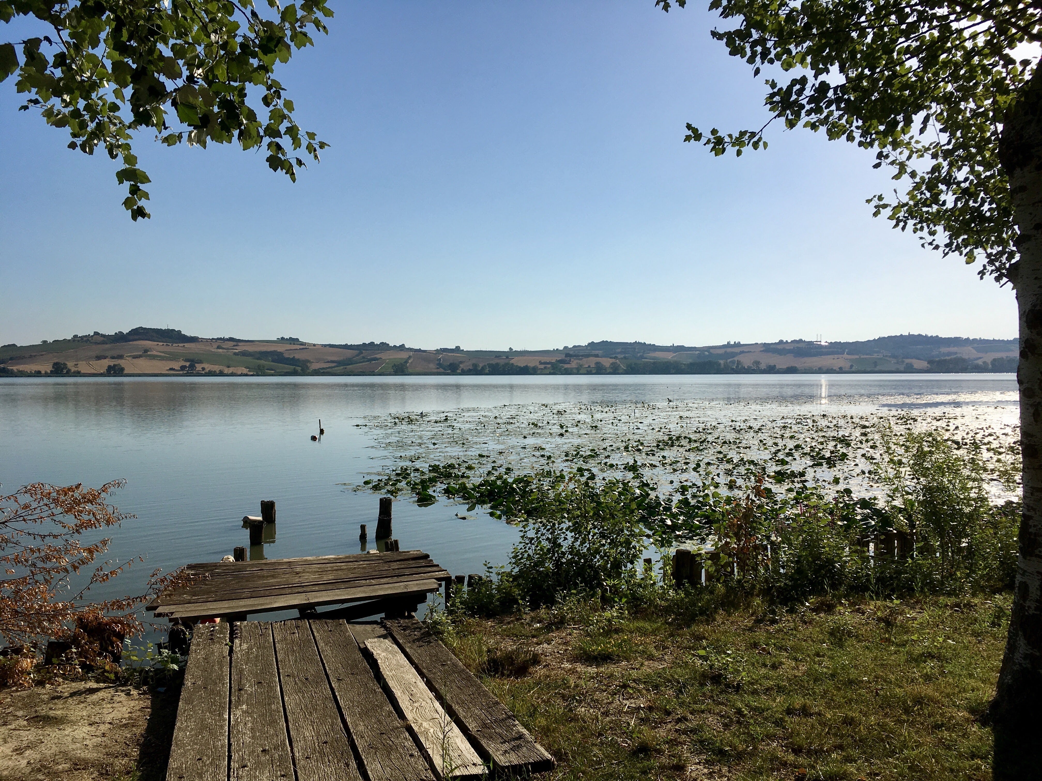 Lake of Chiusi - picture 1