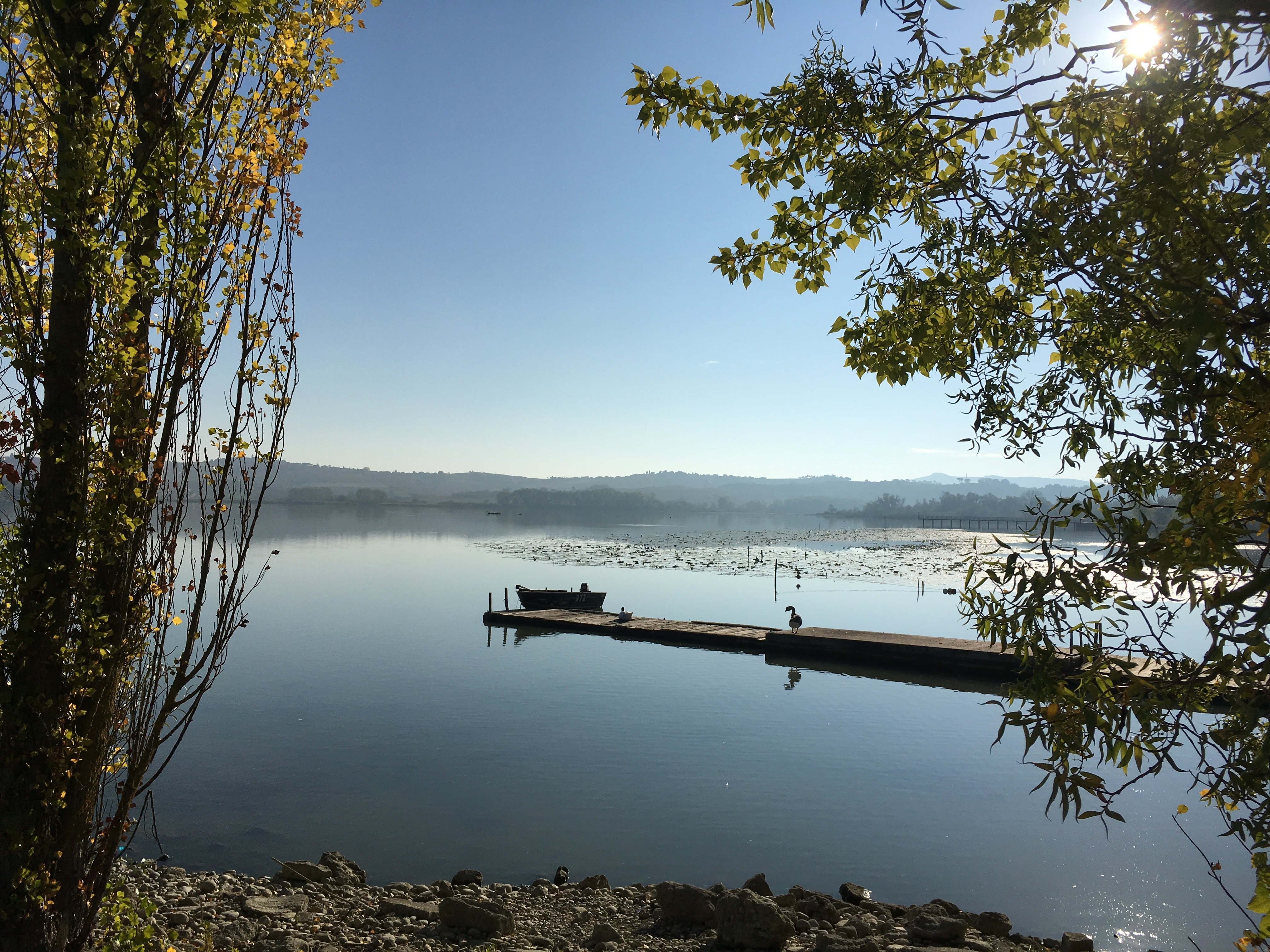 Lake of Chiusi - picture 2