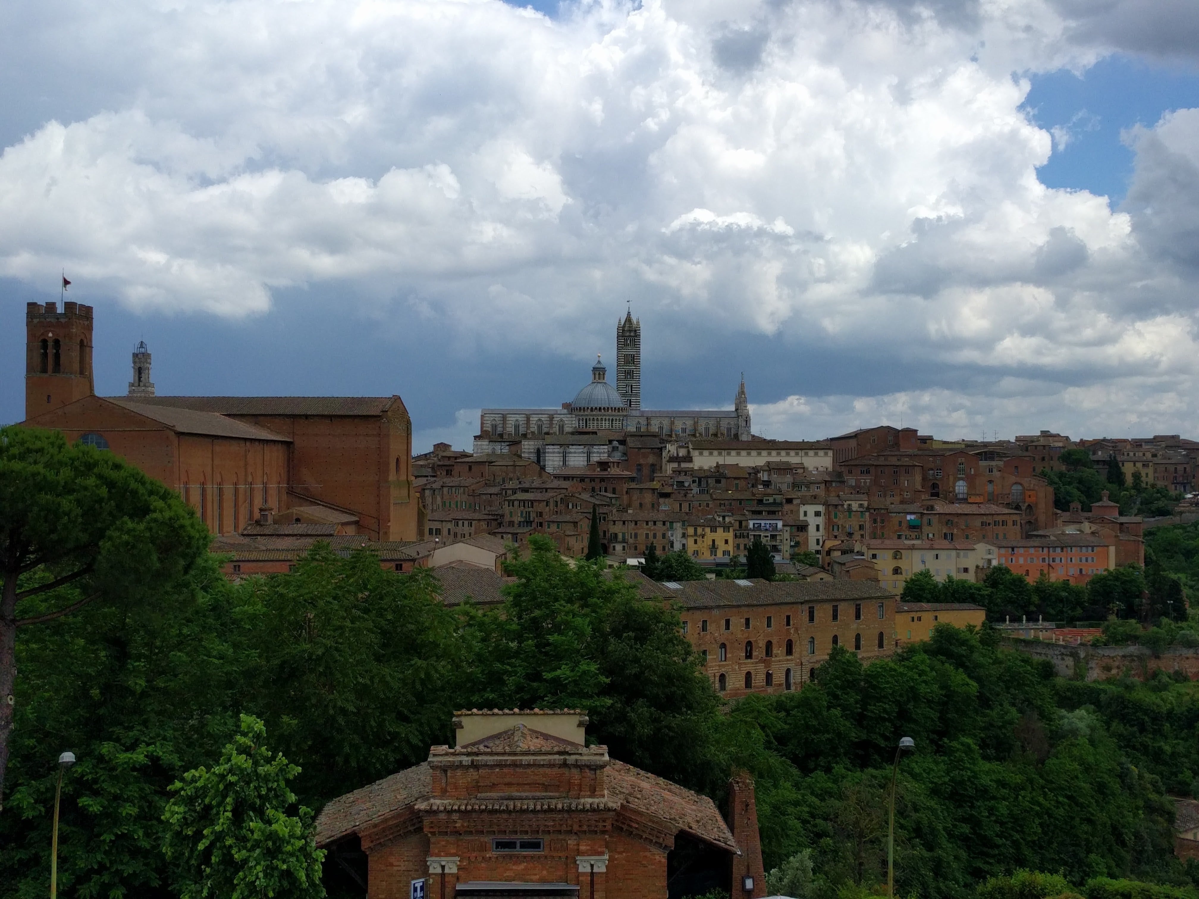 Siena - picture 1