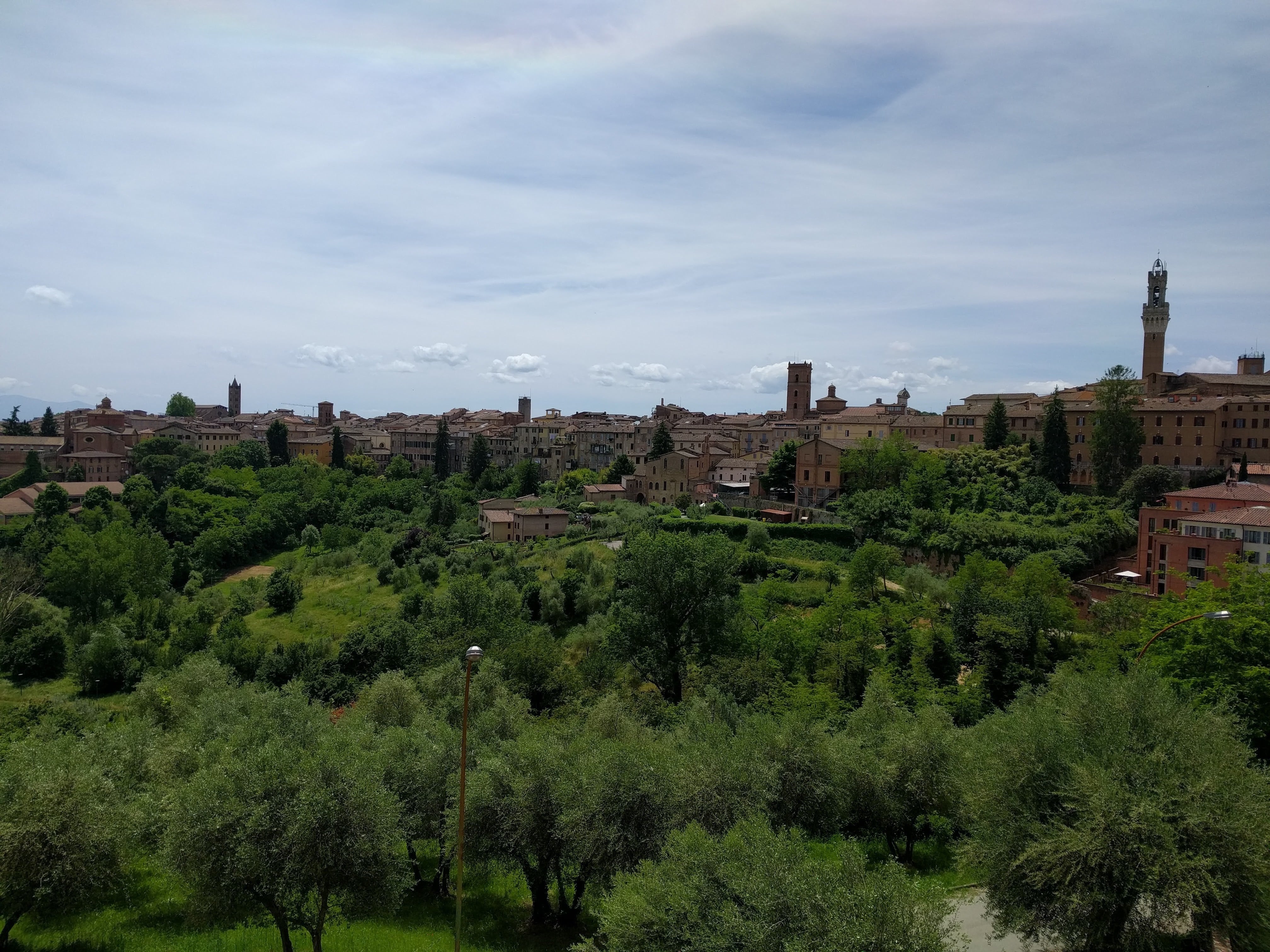 Siena - picture 2