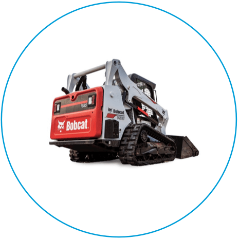 Bobcat